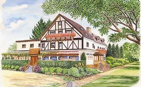 Hotel Pfauen